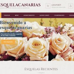 Estrenamos página web